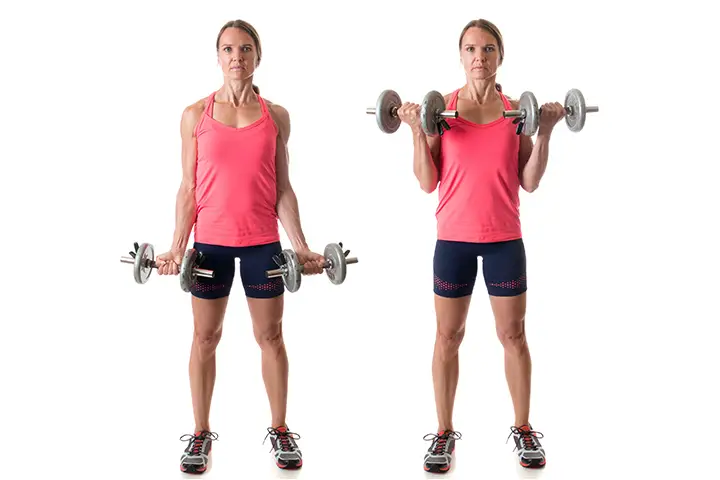 standing bicep curls for arm fat