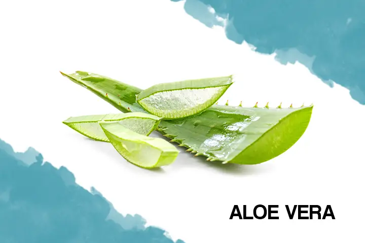 aloe vera for dry hair