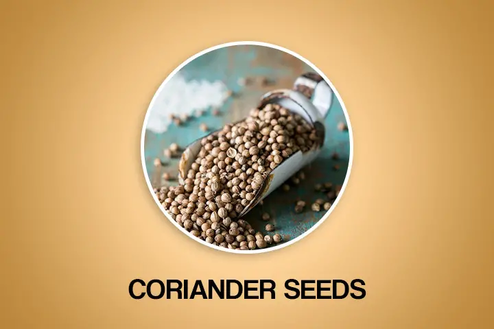 coriander seeds to get periods