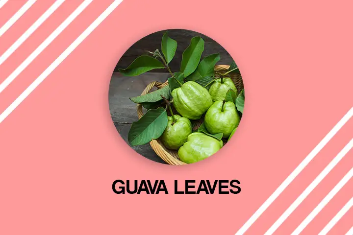 guava leaves for grey hair