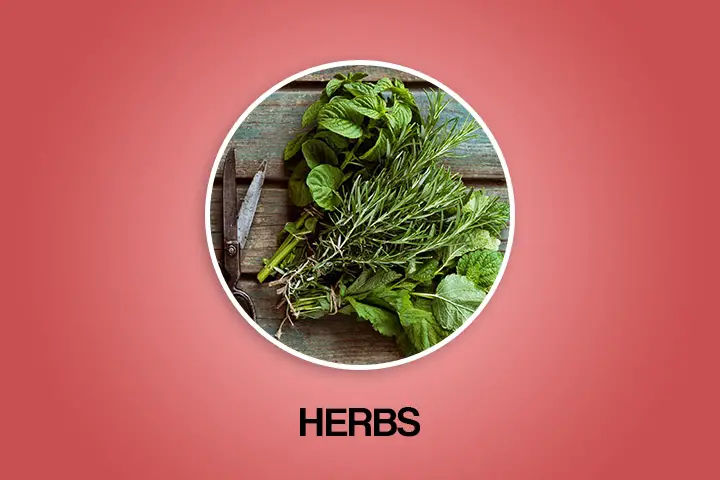 herbs that help with periods