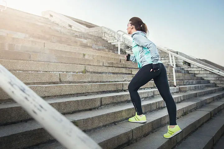 stair climber for weight loss