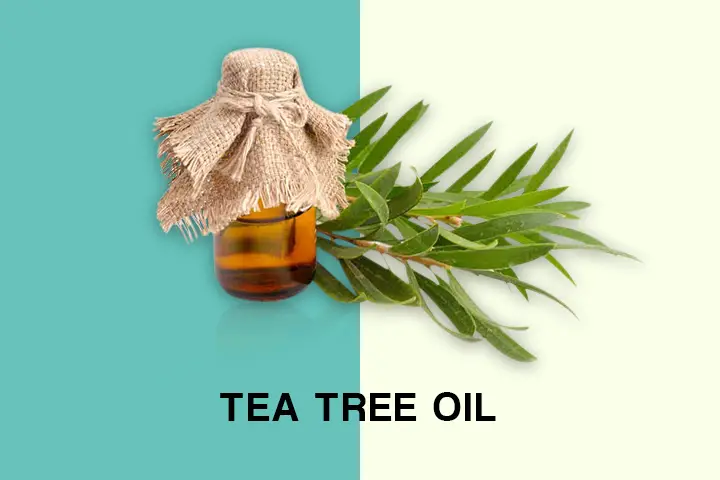 tea tree oil for oily hair