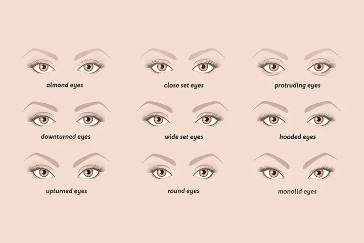 shapes of eyes