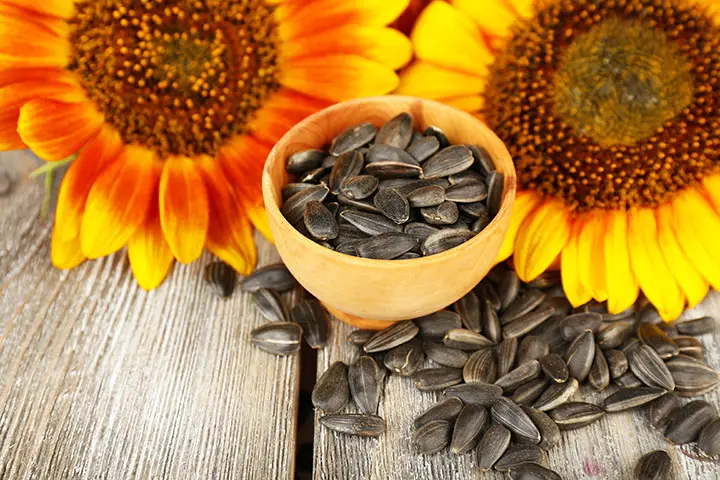 low carb snacks sunflower seeds