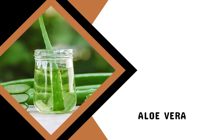 Aloe Vera for Back Acne