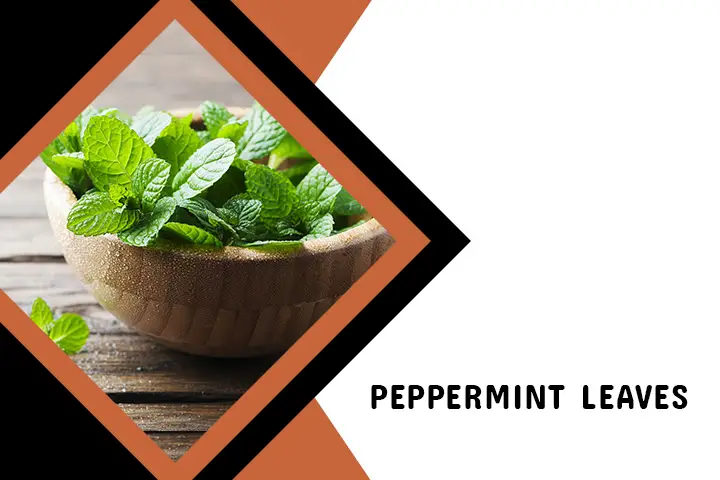 Peppermint Leaves for Back Acne