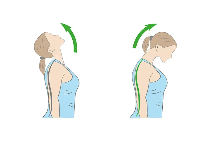 neck forward flexion