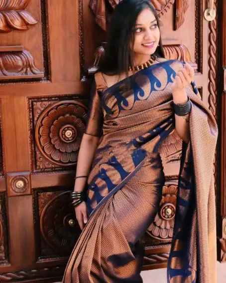 Navy Blue And Copper Combination Beautiful Saree