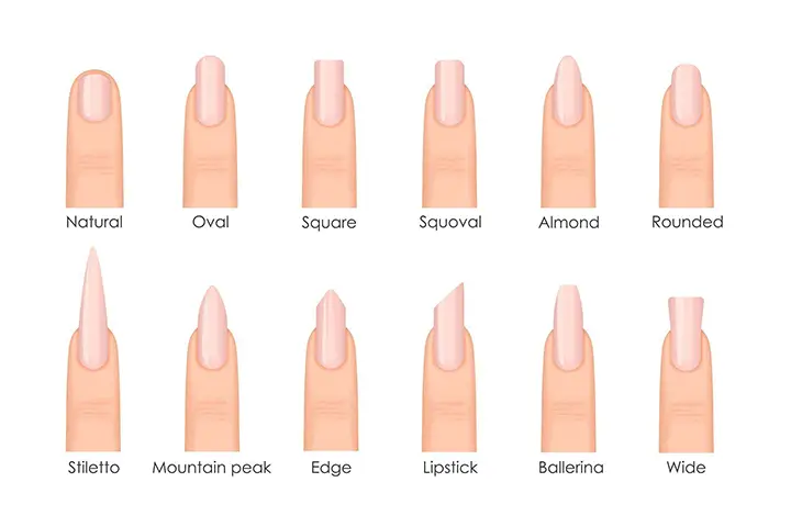 nail shape guide