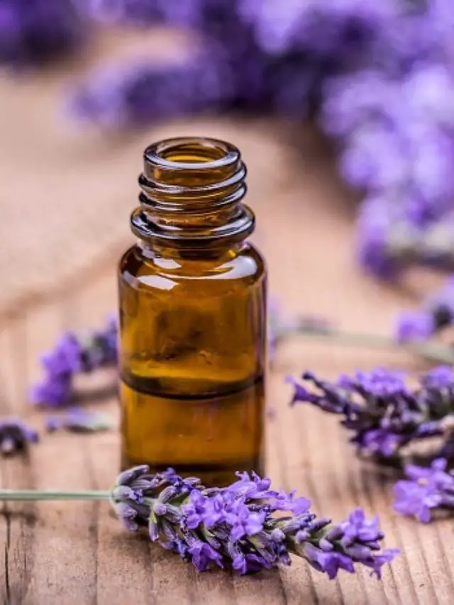 cropped-lavender-essential-oil.jpg
