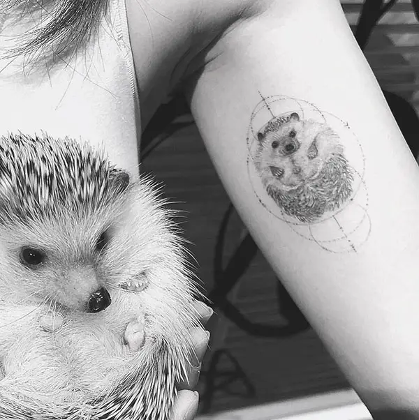 Hedgehog Tattoo