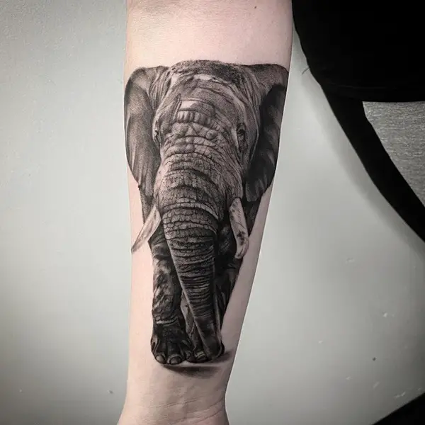Classic Elephant Tattoo