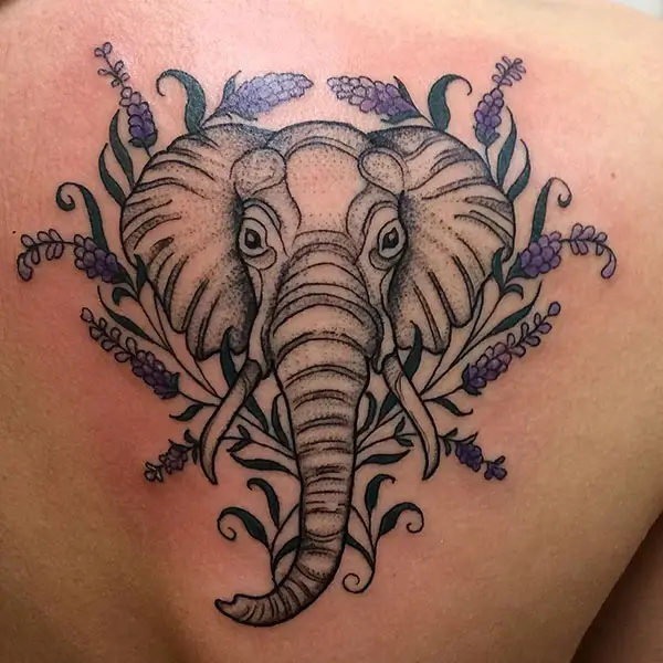 Elephant with Sleek Lavenders Around