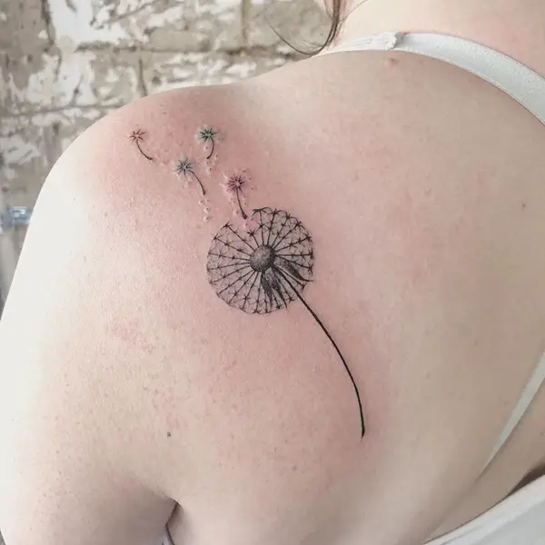 Simple Dandelion with Seeds Blown by Wind