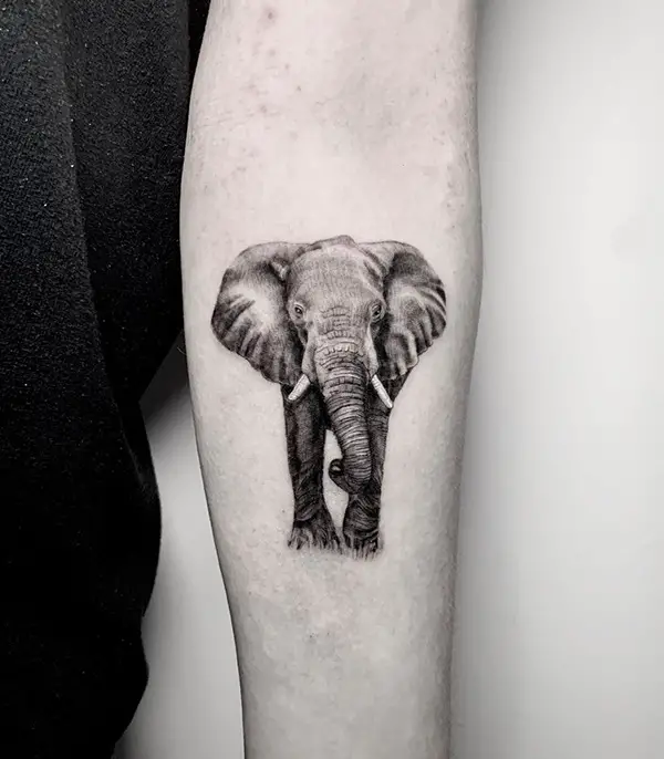 Small Realistic Elephant Tattoo