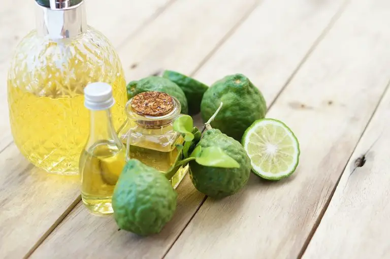 10 Best Essential Oils For Canker Sores Benefits And Uses