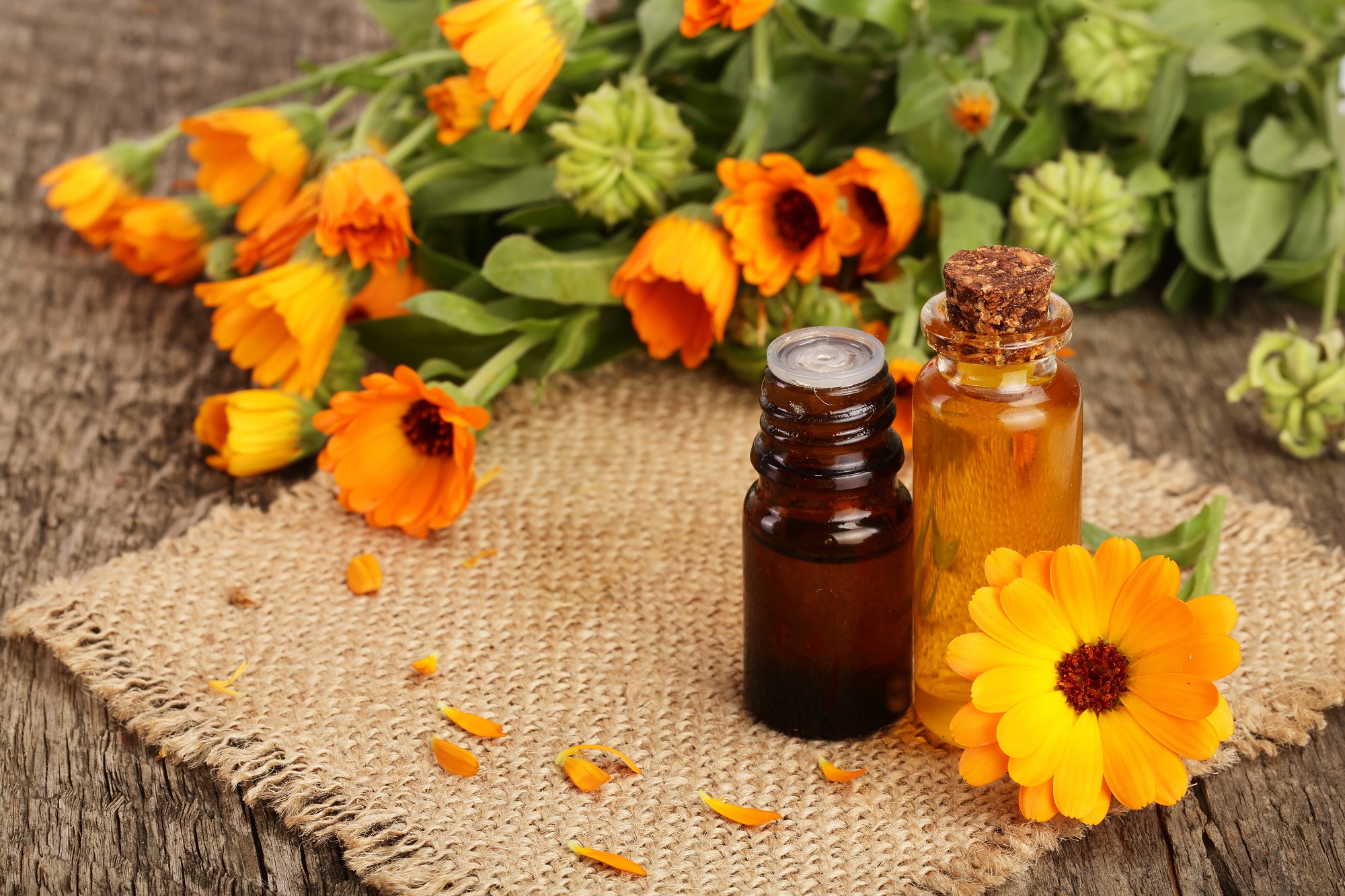 Aromatherapy,Essential,Oil,With,Fresh,Marigold,Flowers,On,Old,Wooden