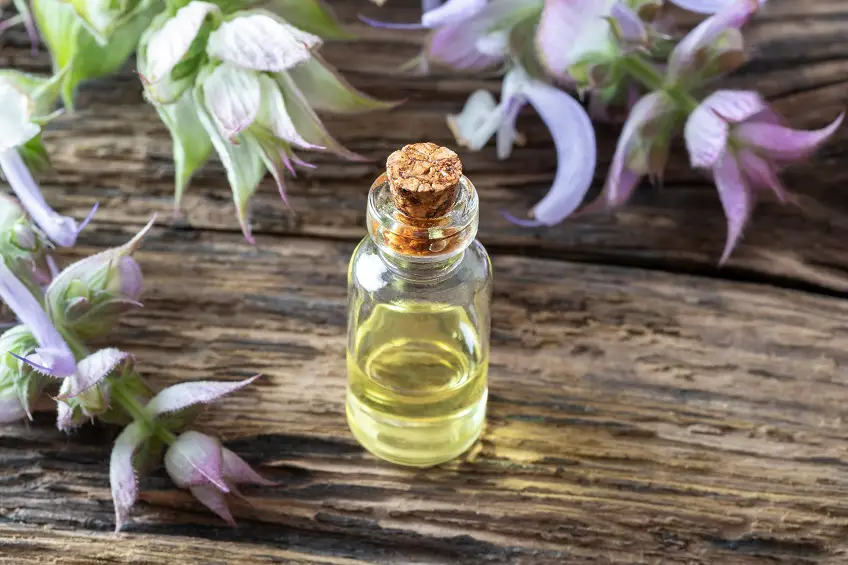 Clary Sage Oil