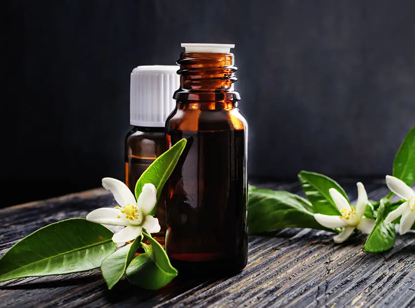 Essential Oils for Allergies