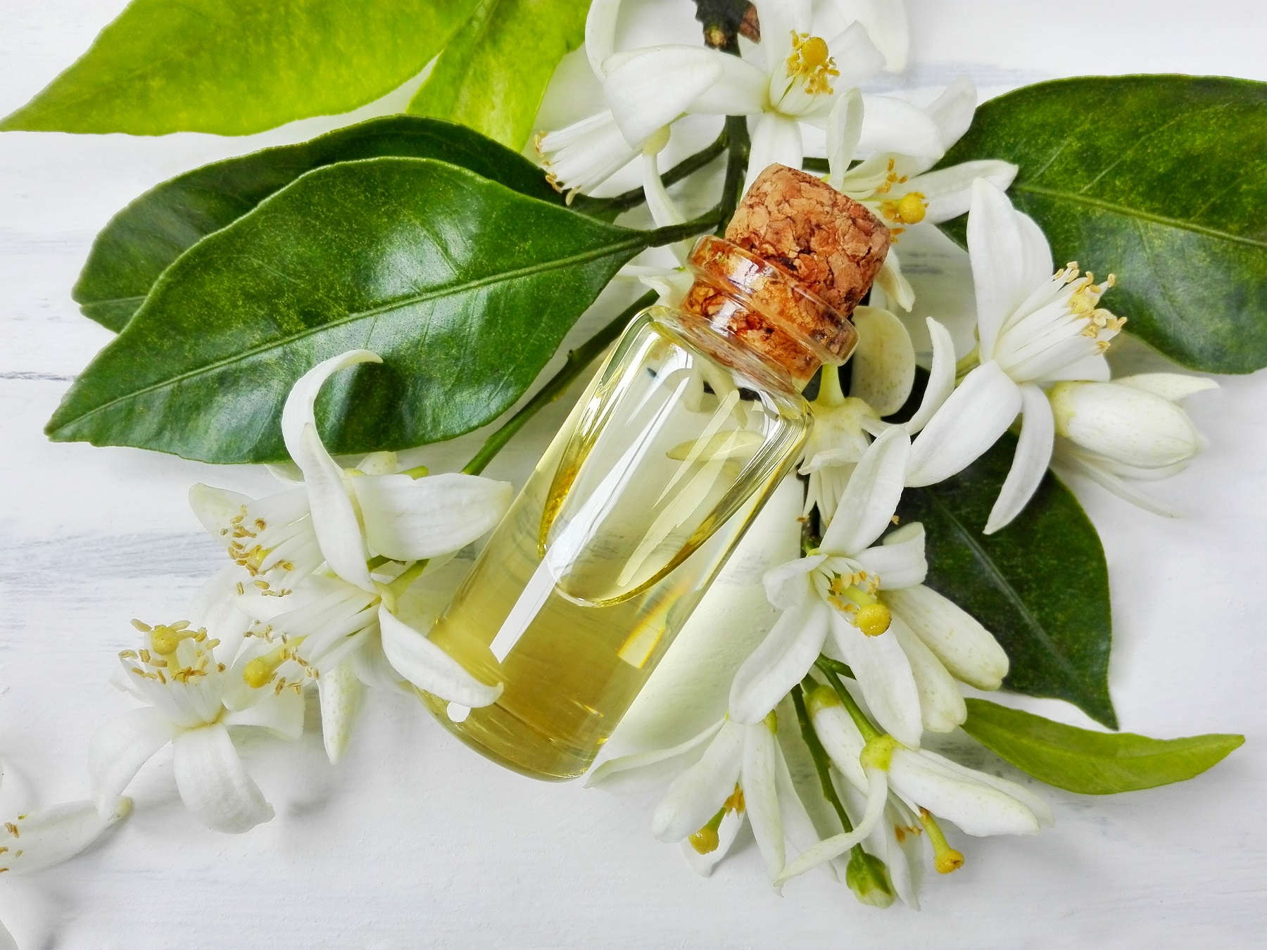 Neroli Essential oil