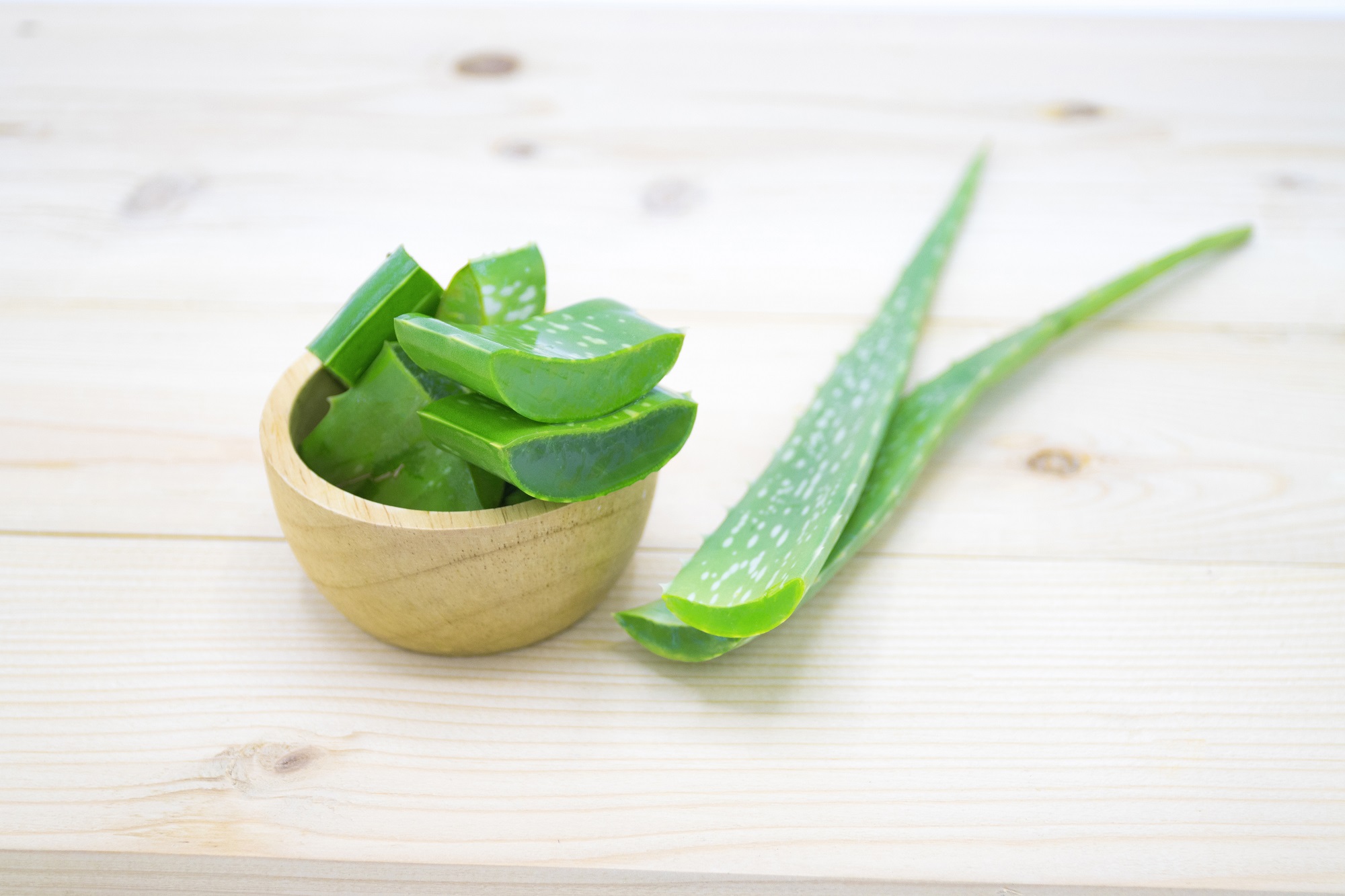 Green,Fresh,Aloe,Vera,Sliced,Fresh,Aloe,For,Herbal,Medical