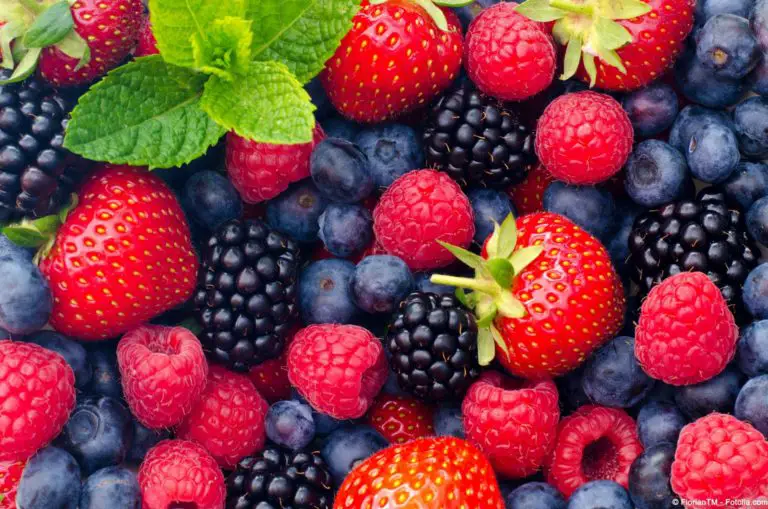 The 10 Best Foods For Kidney Health