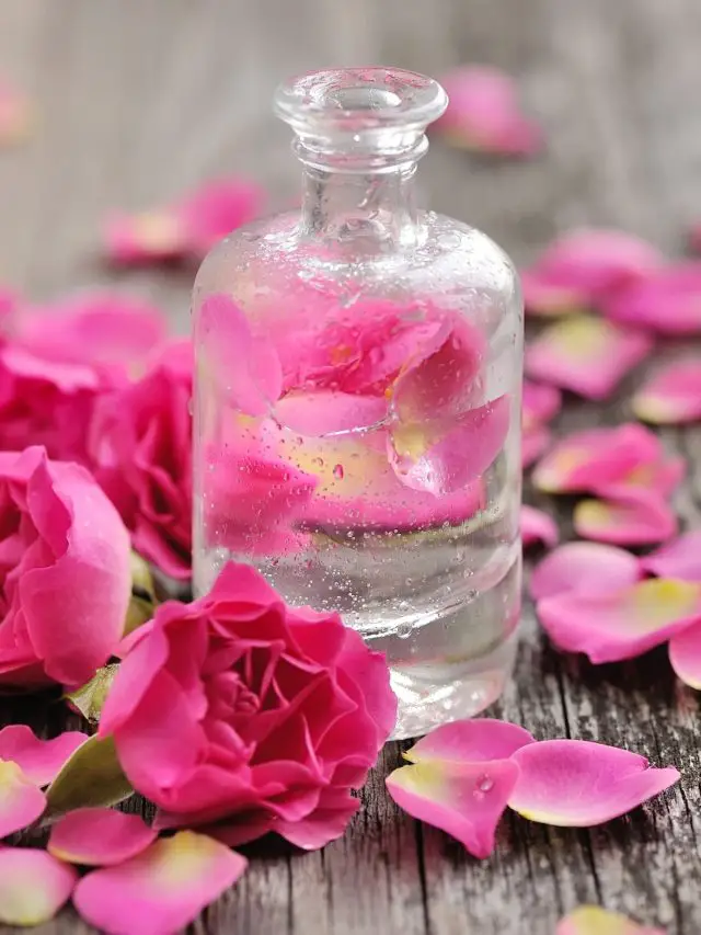 7 Reasons To Include Rose Water In Your Beauty Regime Beauty Epic