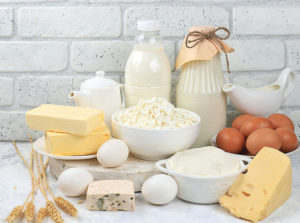 dairy products