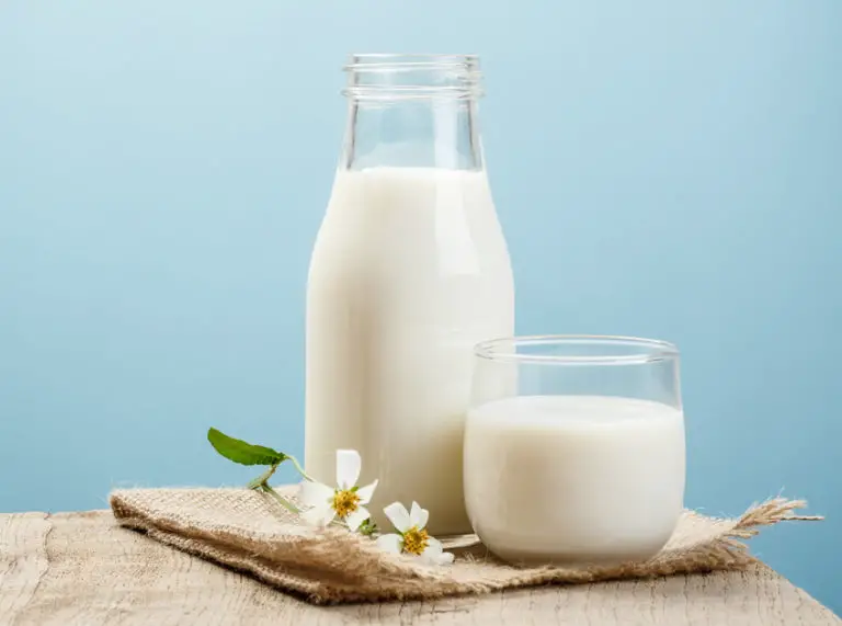 foods high in glutamine