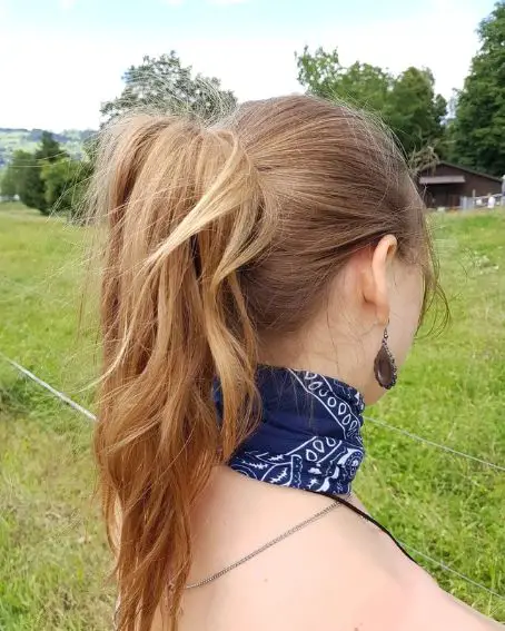 Ponytail