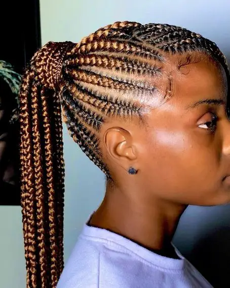 Braided Ponytail