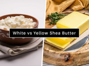 What's the Difference White vs Yellow Shea Butter