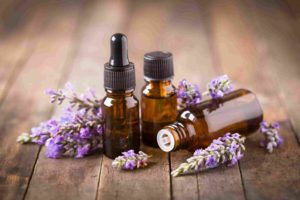 7 Essential Oils for Ants