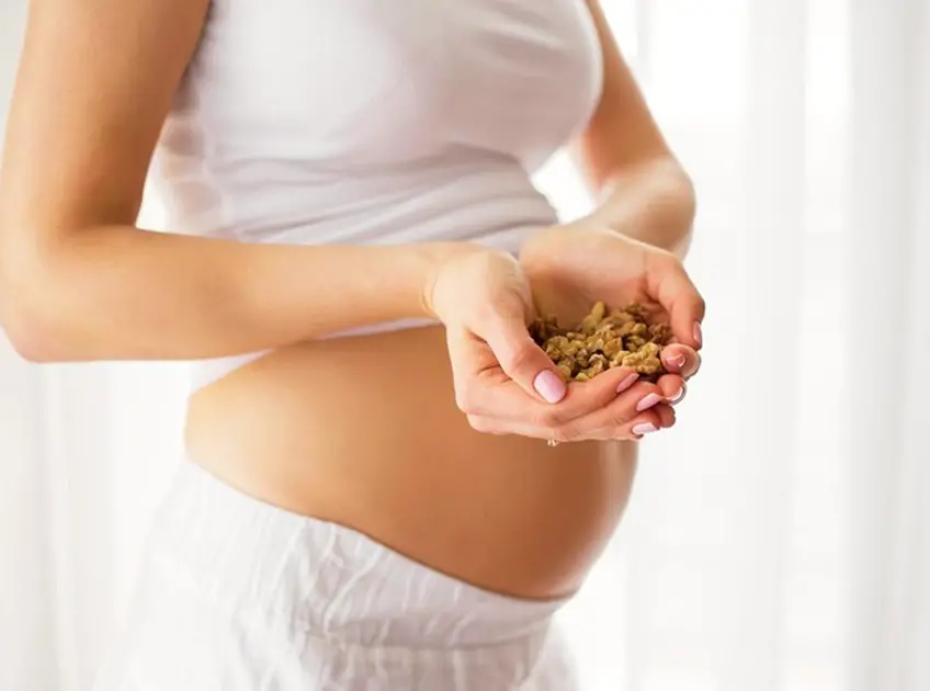 Benefits Of Nuts During pregnancy