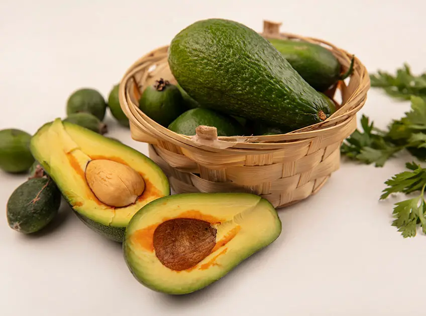 avocado for kids