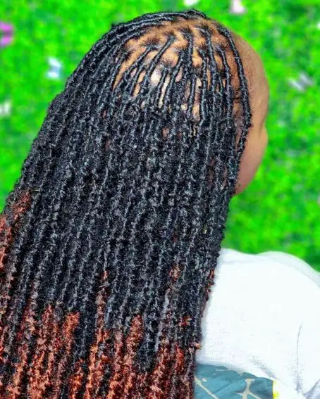 A Protective Hairstyle