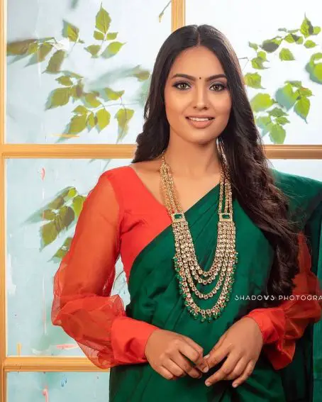 South Indian Full Sleeves Red Net Blouse Design
