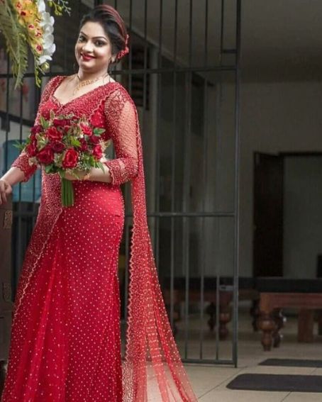 Banglori Silk Full Sleeves Red Net Blouse Design