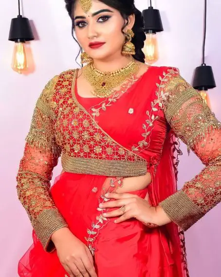 Bridal Full Sleeves Red Net Blouse Design