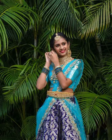 Beautiful Sky Blue Color Pattu Blouse Design