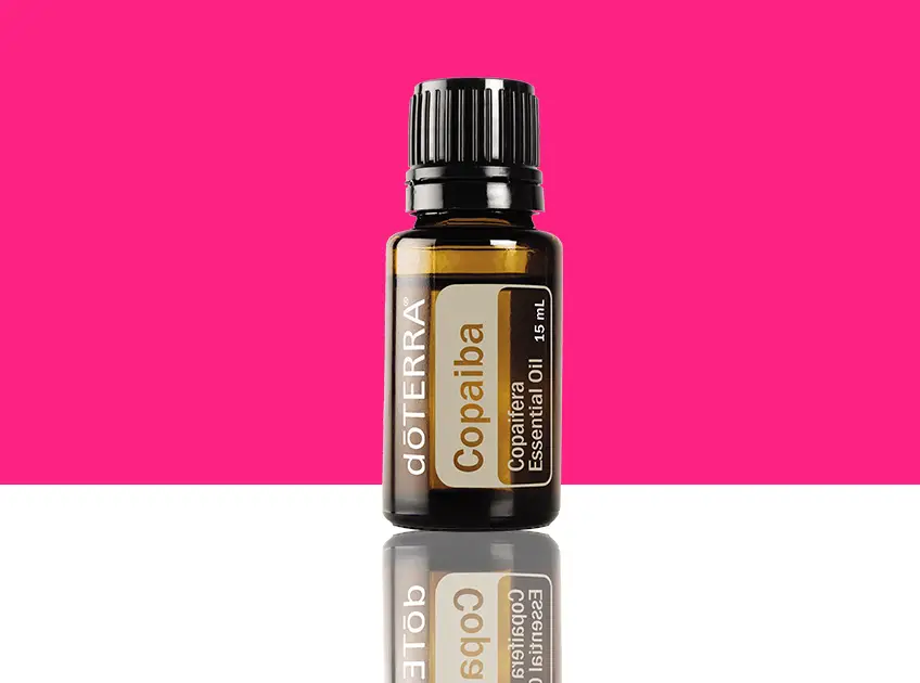 Copaiba essential oil uses and benefits
