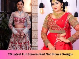 Full Sleeves Red Net Blouse Designs