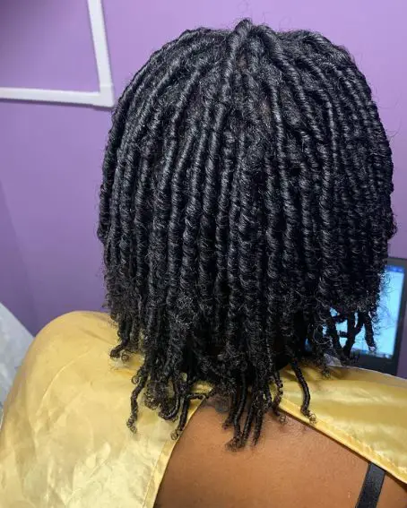 Small Twisted Braids Hairstyle