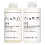 5 Best Similar Olaplex Products