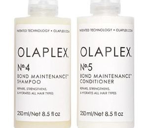 Best Similar Olaplex Products