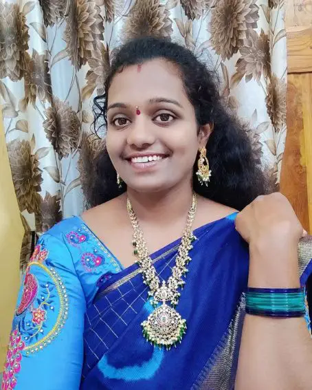 Blue Traditional Pattu Blouse Latest Computer Work Blouse Design