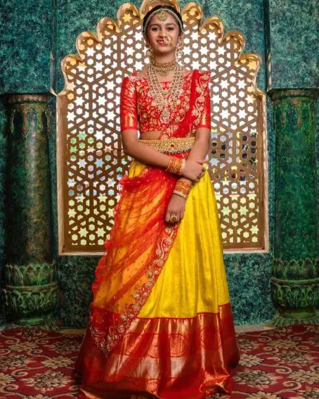 Brocade Work Traditional Pattu Lehenga Blouse Maggam Work Design