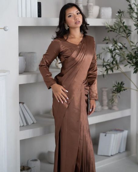 Brown Full-sleeve Plain Satin Saree Blouse Design