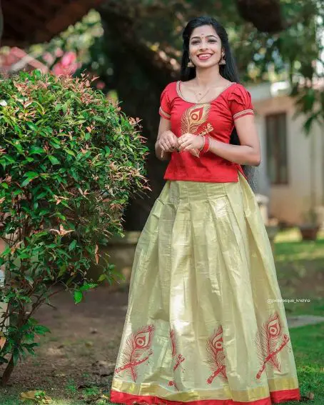 Kerala Style Pattu Pavadai Blouse Design For Adults